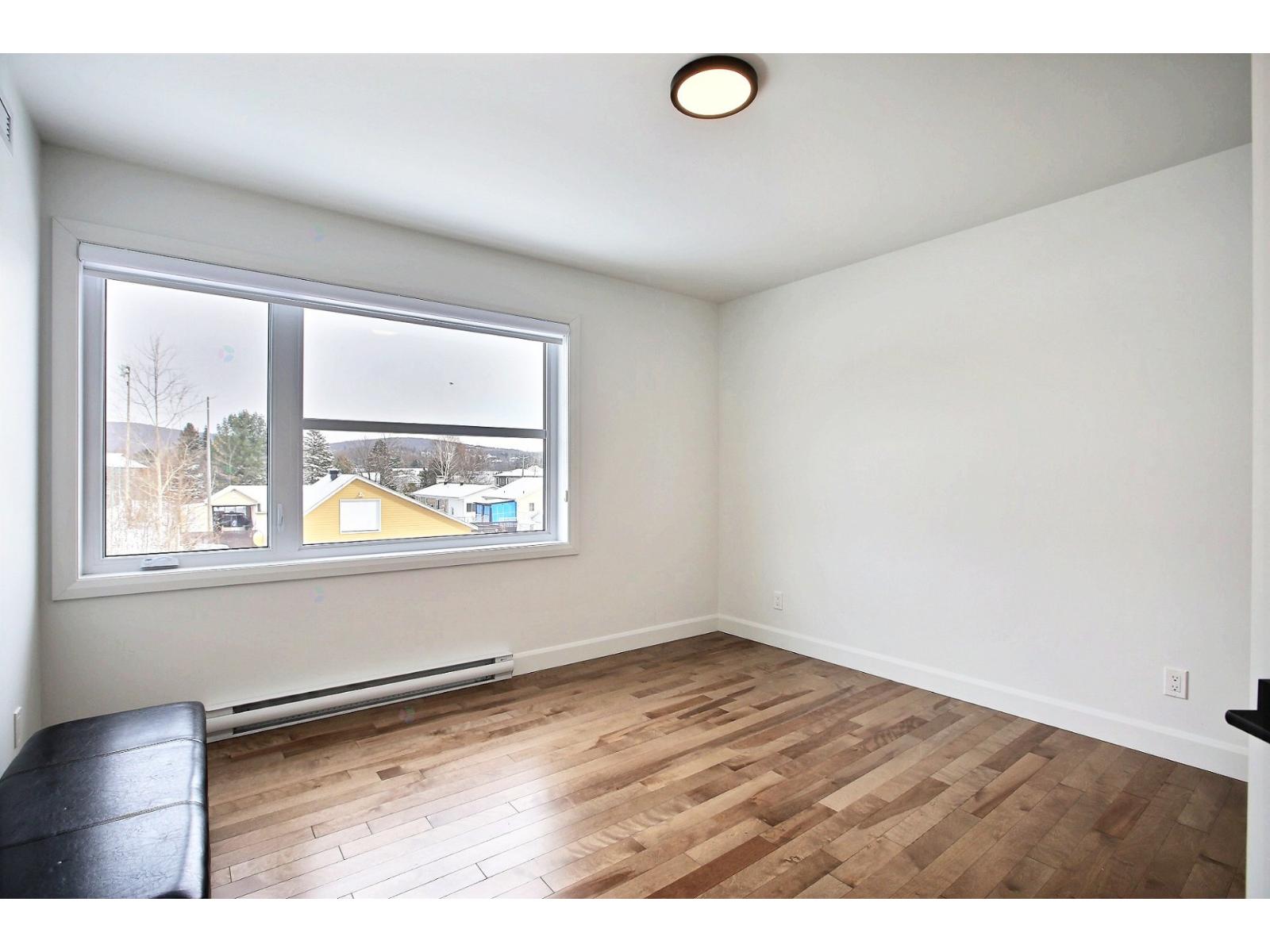 Rue Guy-linteau Property Photo 11
