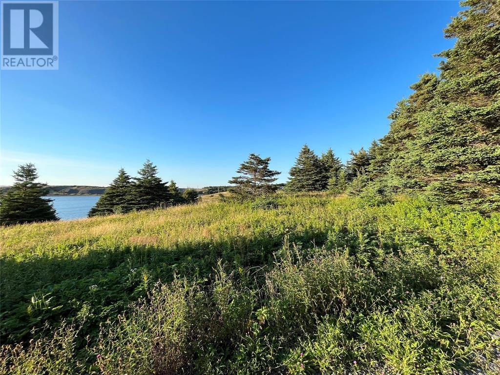 117 Cape Shore Highway Property Photo 1