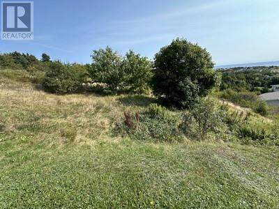 16 Johnsons Road Property Photo 15