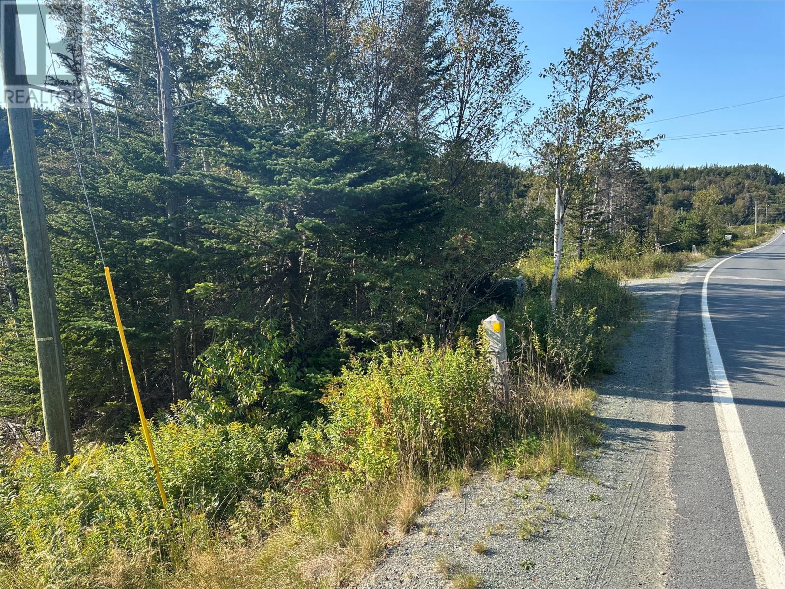 195 Conception Bay Highway Property Photo 2