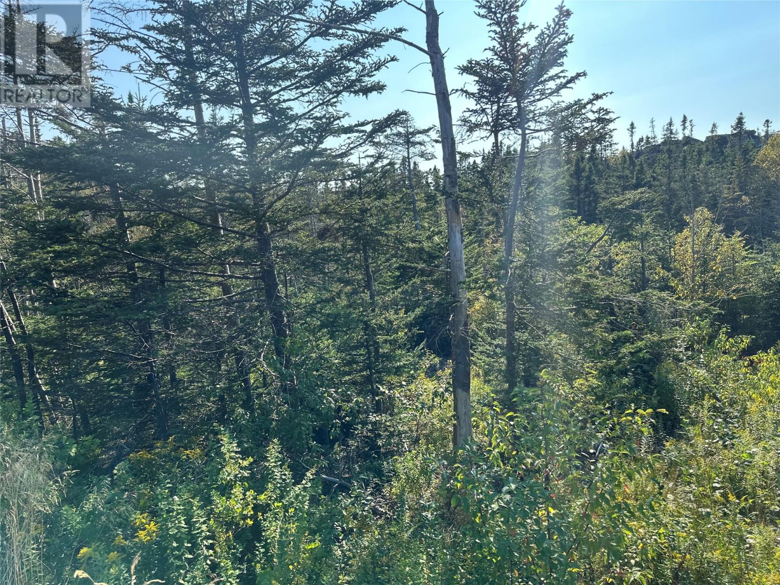 195 Conception Bay Highway Property Photo 3