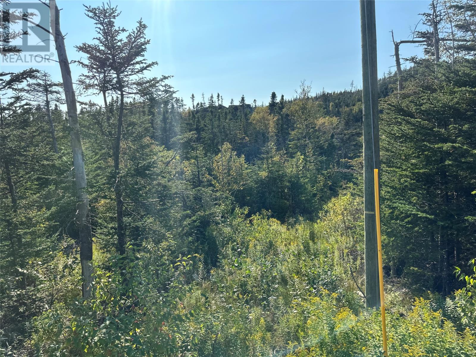 195 Conception Bay Highway Property Photo 4