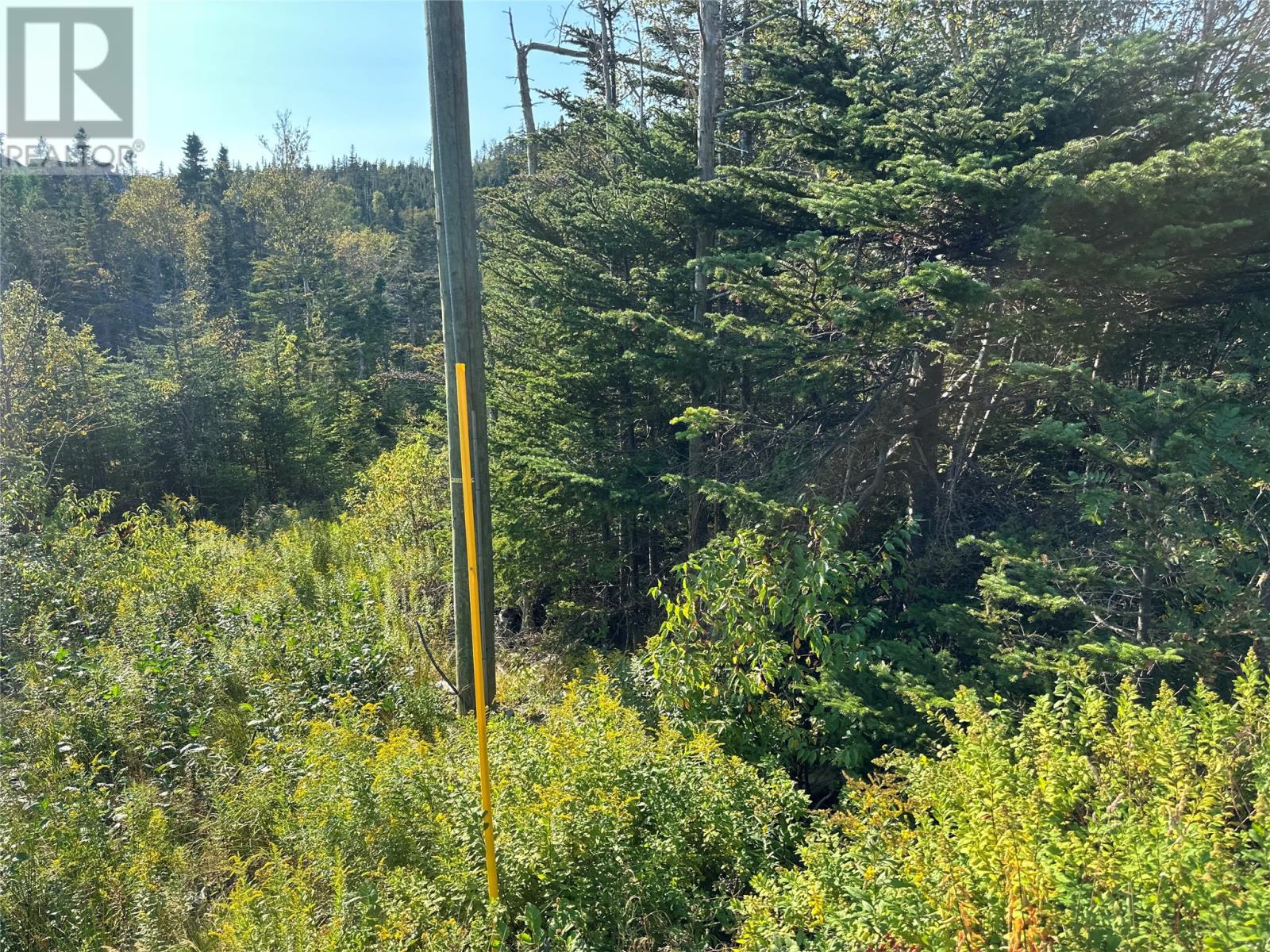 195 Conception Bay Highway Property Photo 5