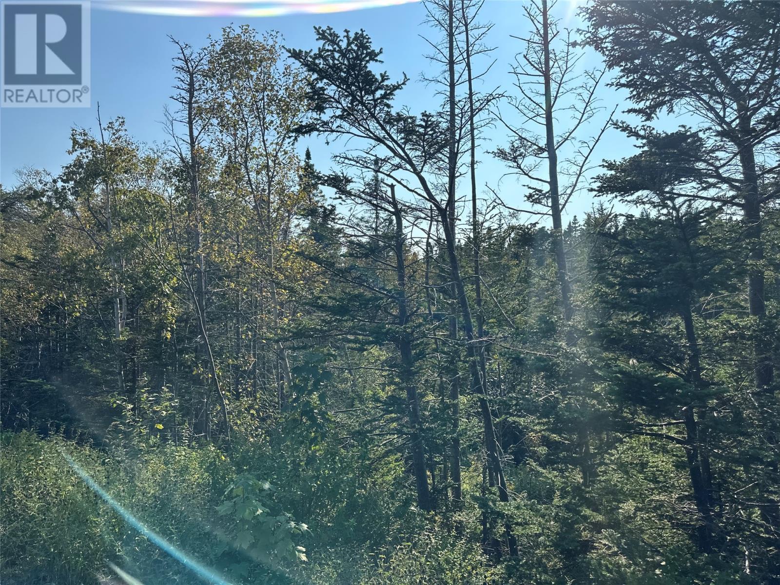 195 Conception Bay Highway Property Photo 8