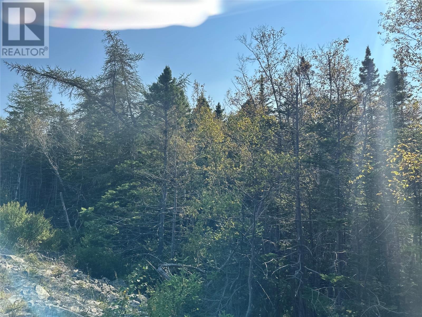 195 Conception Bay Highway Property Photo 12