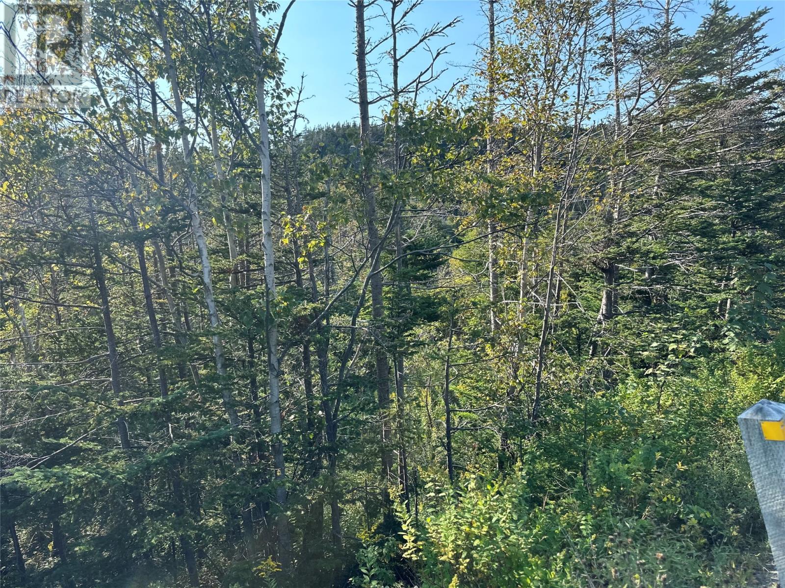 195 Conception Bay Highway Property Photo 13