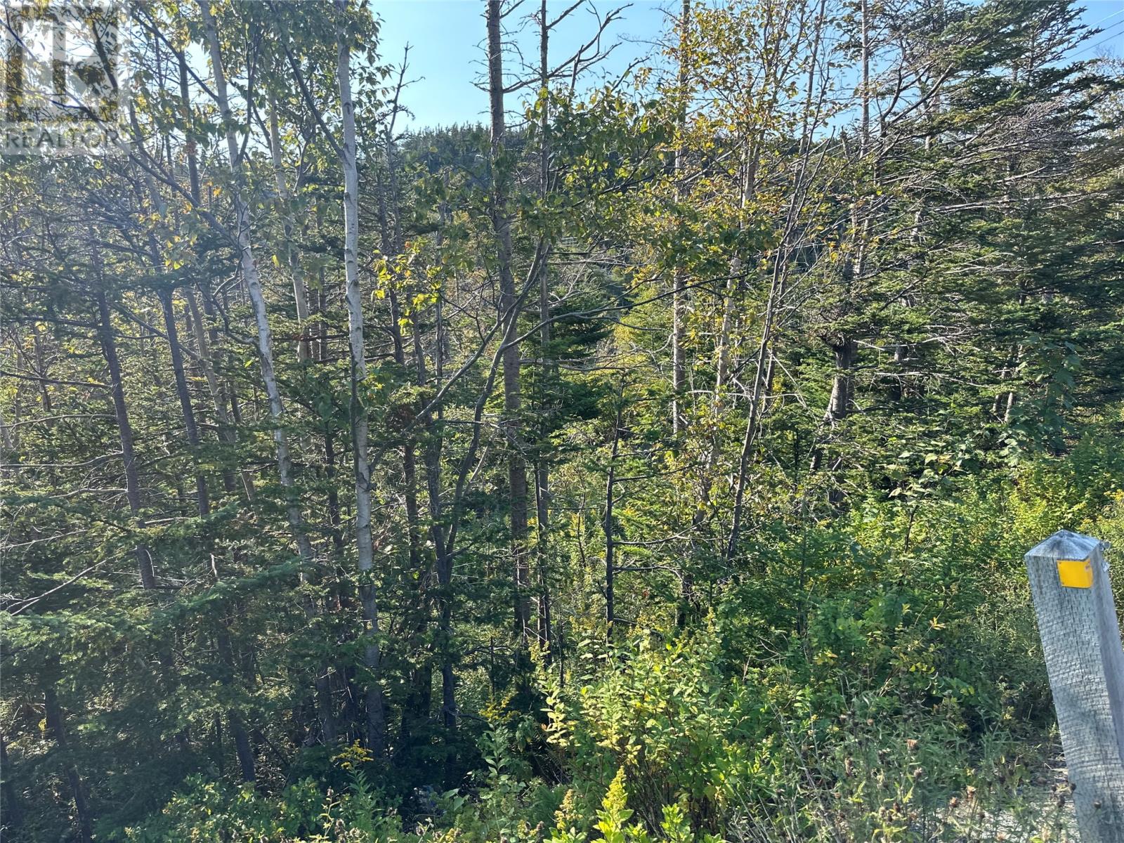 195 Conception Bay Highway Property Photo 14