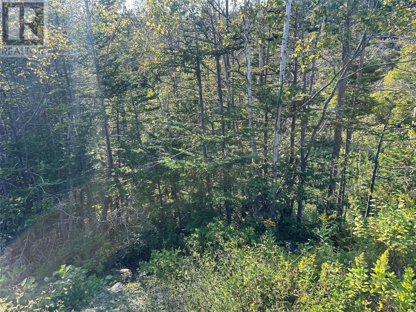 195 Conception Bay Highway Property Photo 15