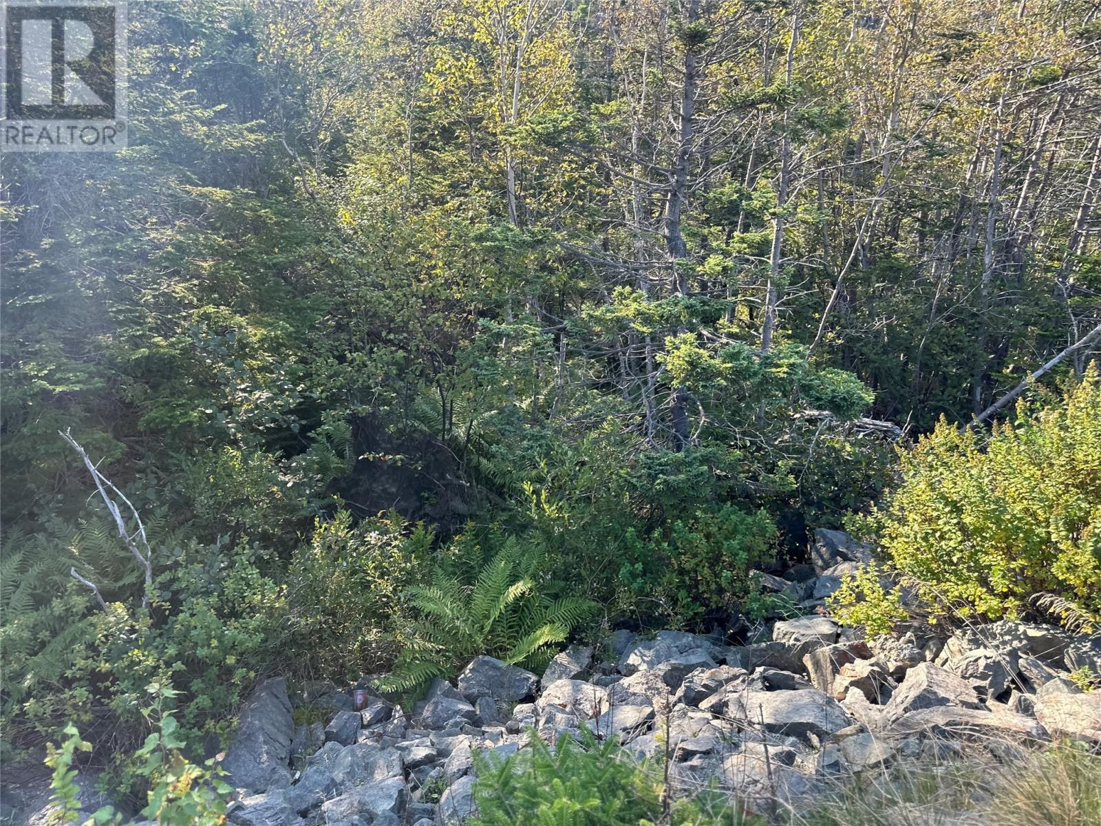 195 Conception Bay Highway Property Photo 16