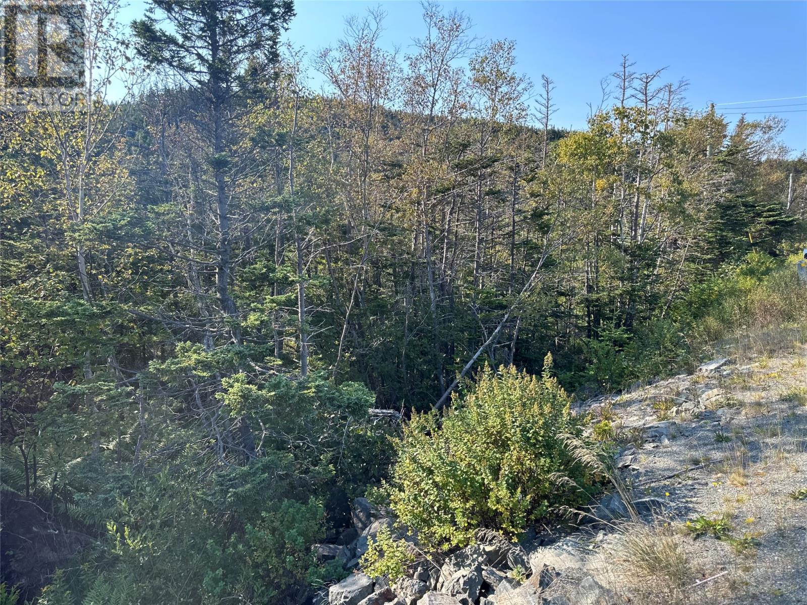 195 Conception Bay Highway Property Photo 17