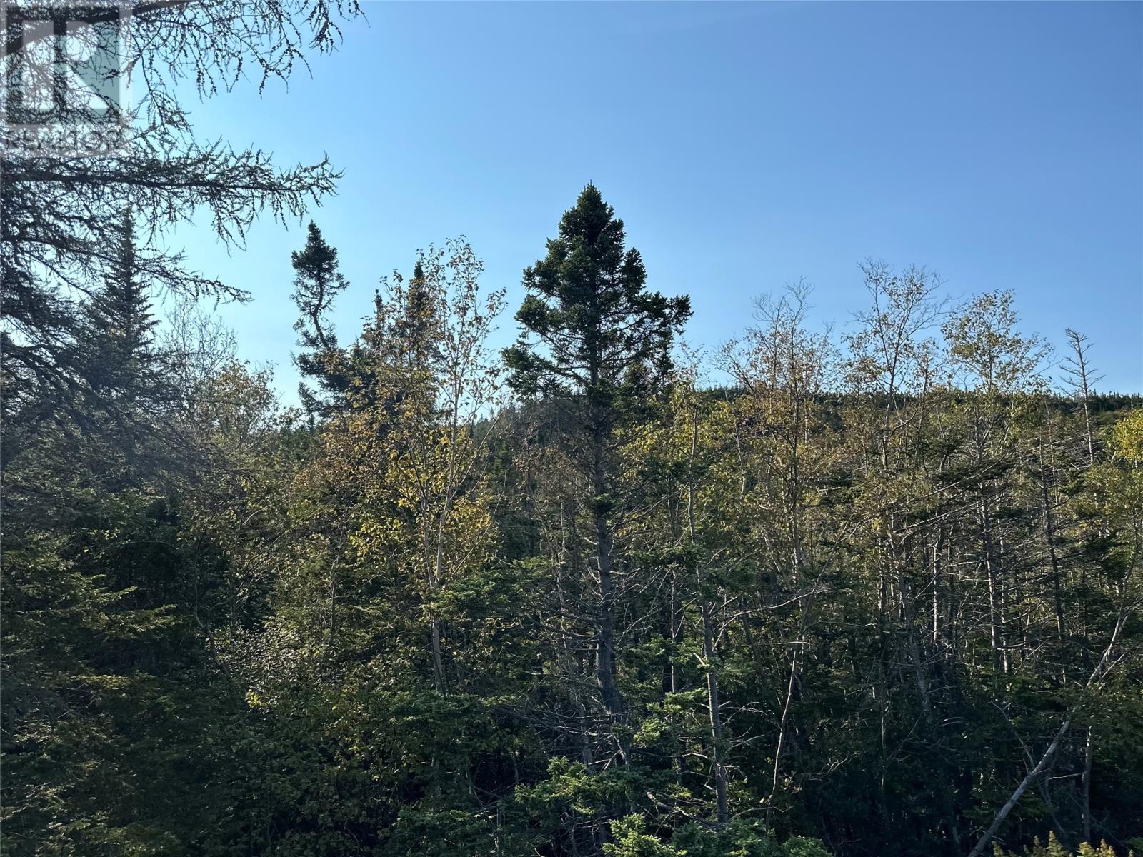 195 Conception Bay Highway Property Photo 18