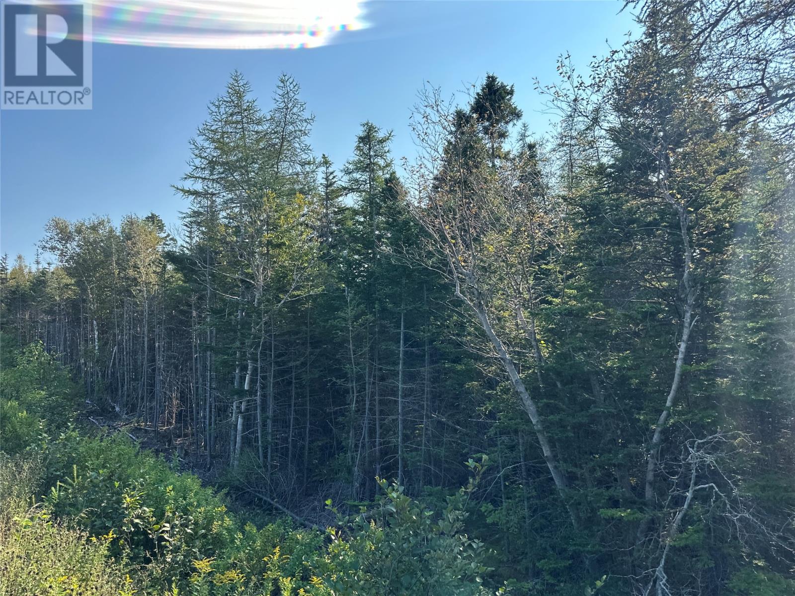 195 Conception Bay Highway Property Photo 19