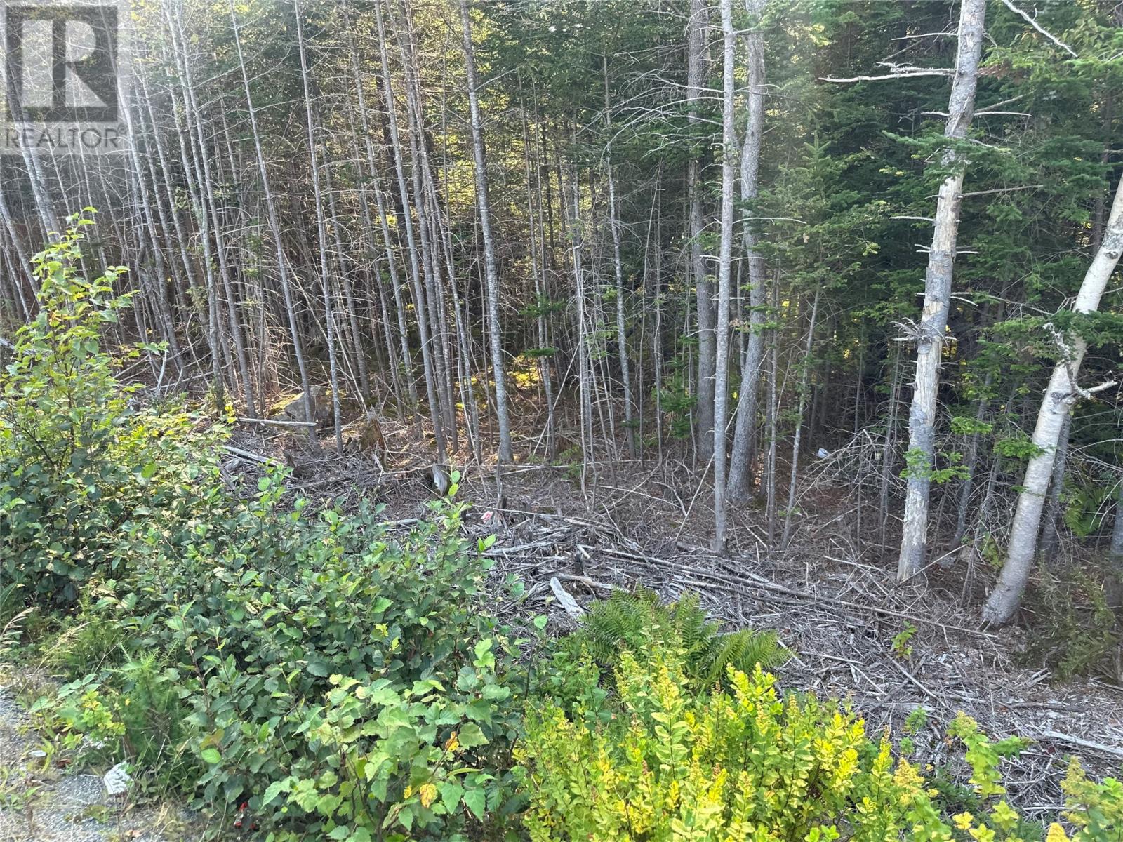 195 Conception Bay Highway Property Photo 22