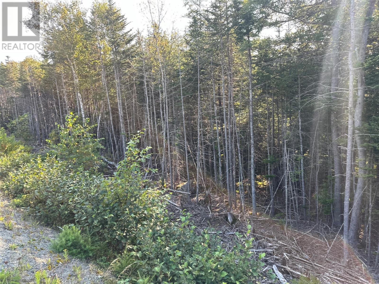 195 Conception Bay Highway Property Photo 23