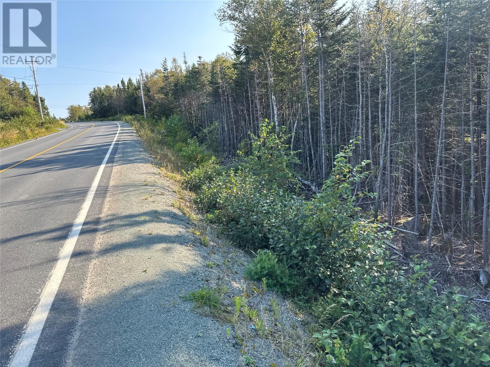 195 Conception Bay Highway Property Photo 24
