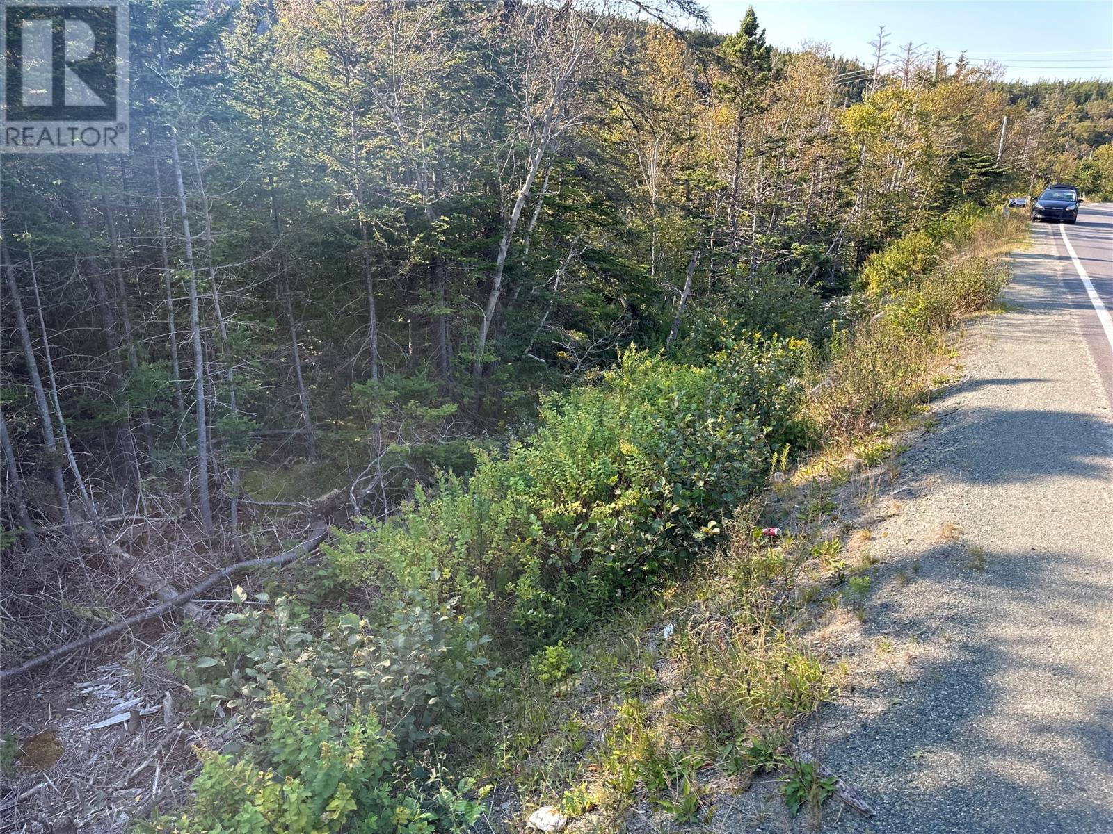 195 Conception Bay Highway Property Photo 25