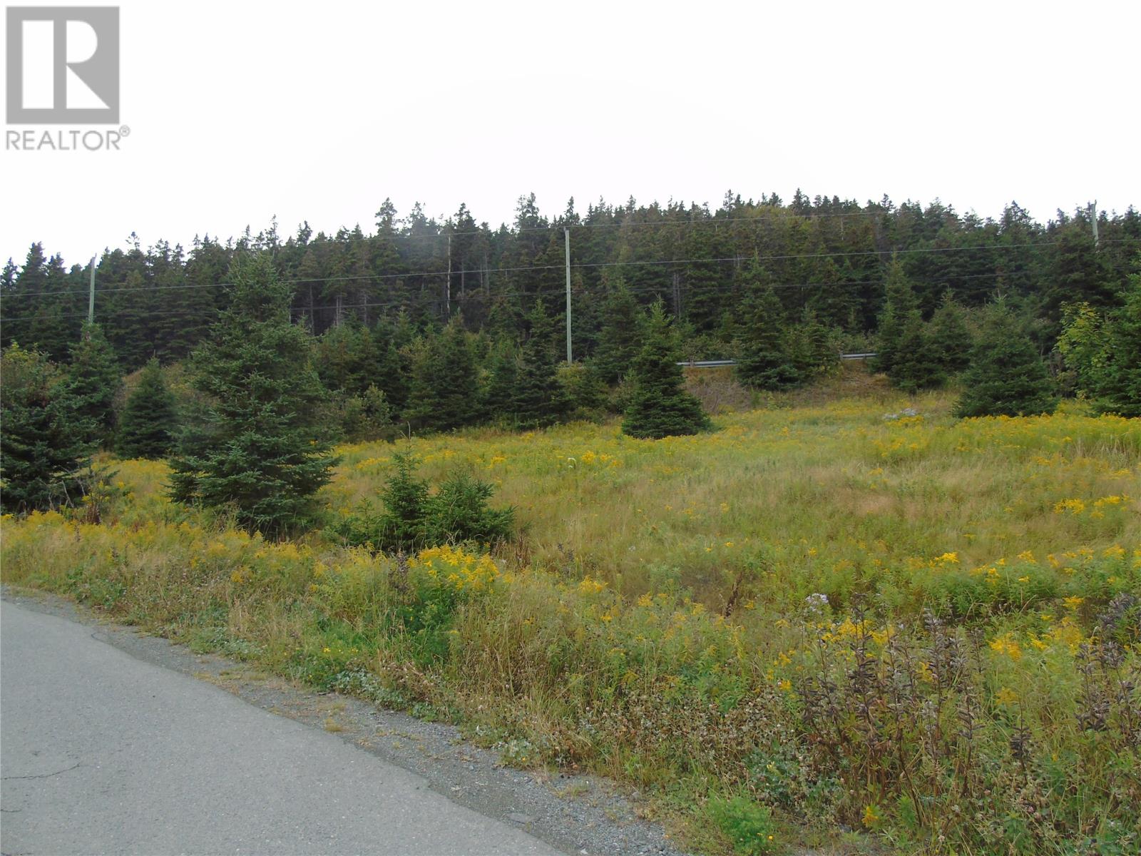 0 Southside Lance Cove Road Property Photo 1