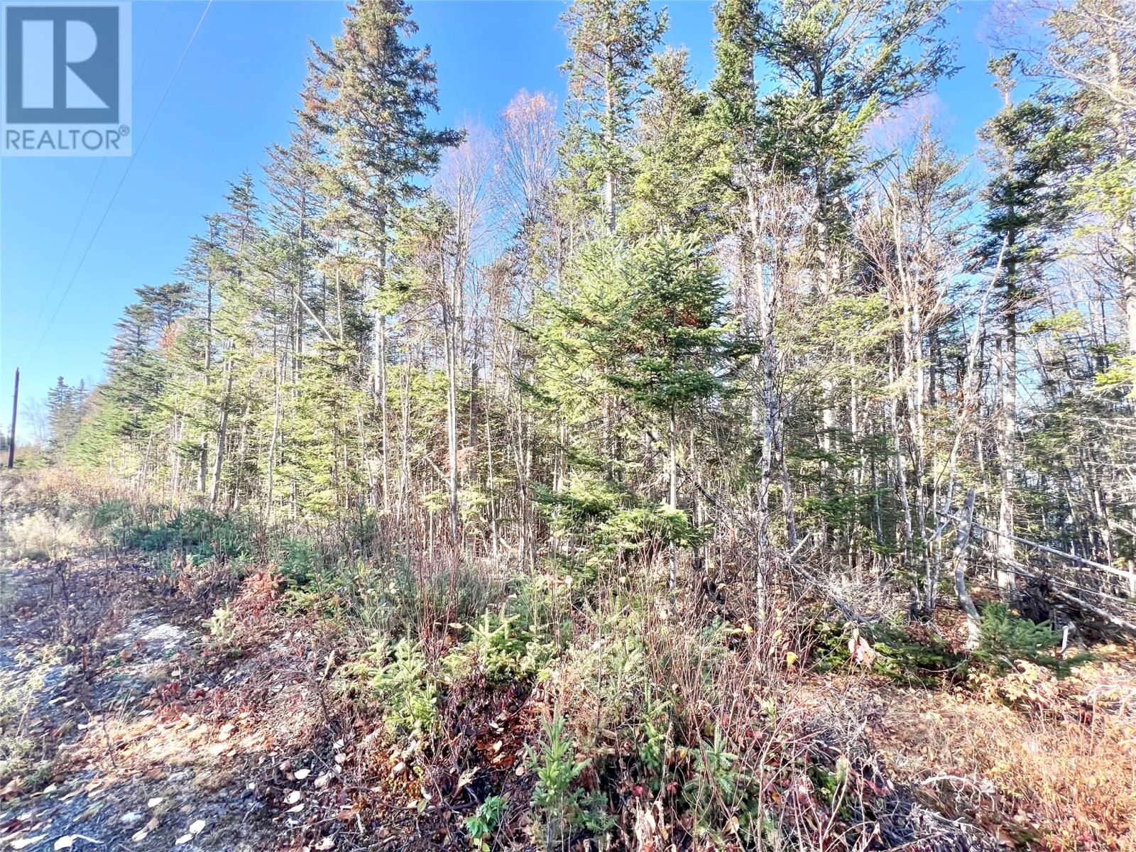 11 Little Paradise Road Property Photo 17