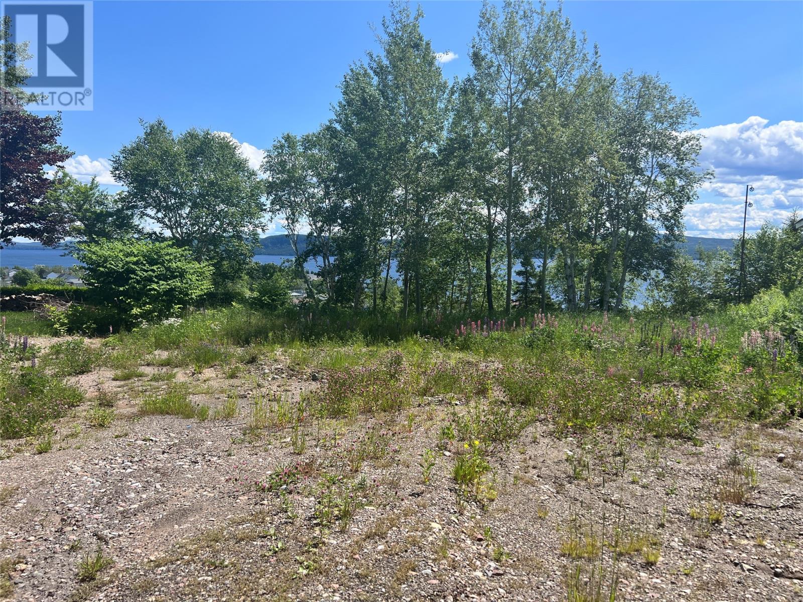 36 Maple Street Property Photo 1