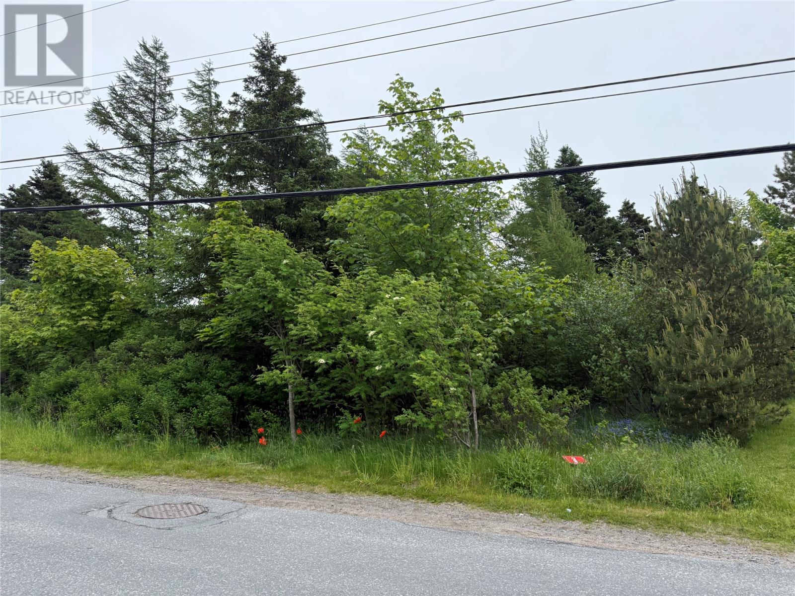 49 Back Road Property Photo 1