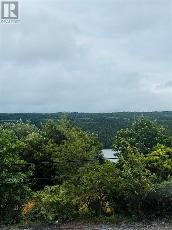 1253 Main Road Property Photo 2