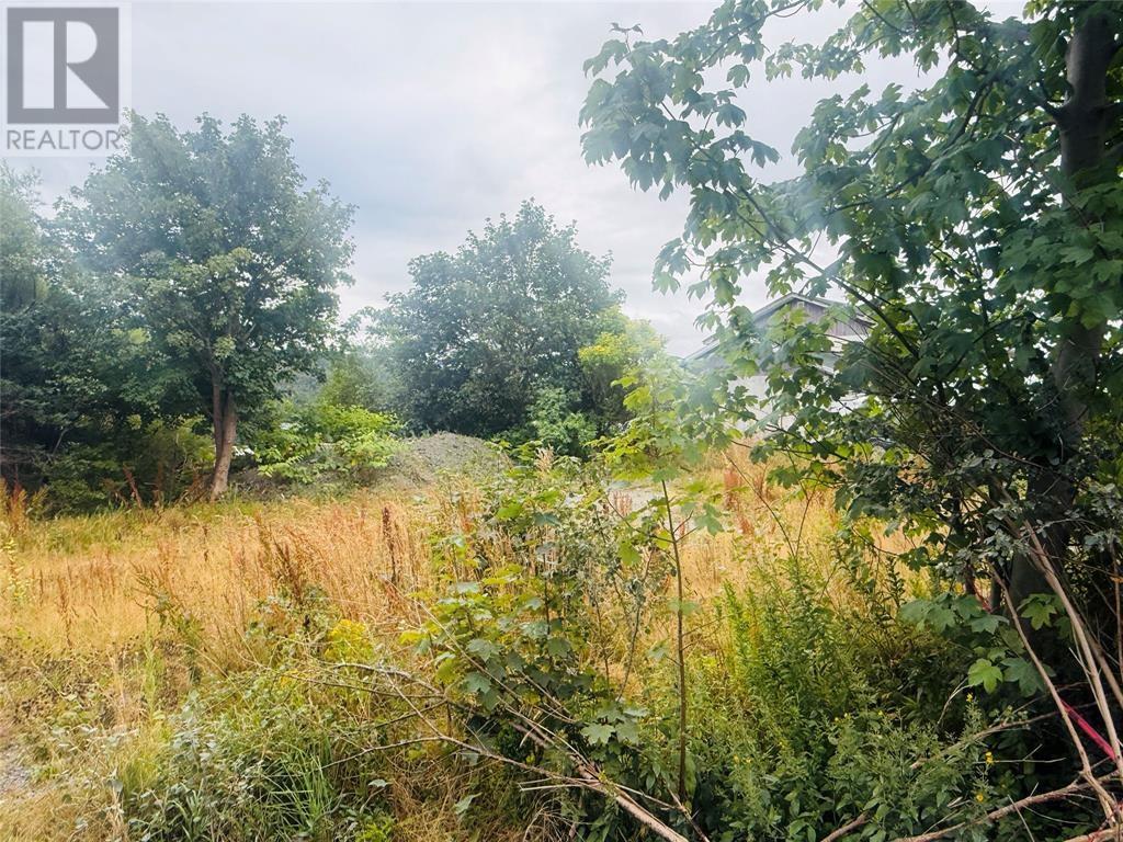 1253 Main Road Property Photo 3