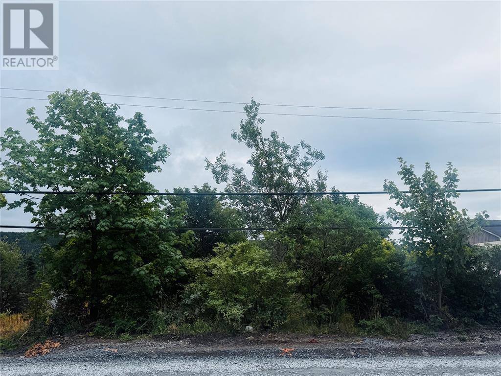 1253 Main Road Property Photo 4