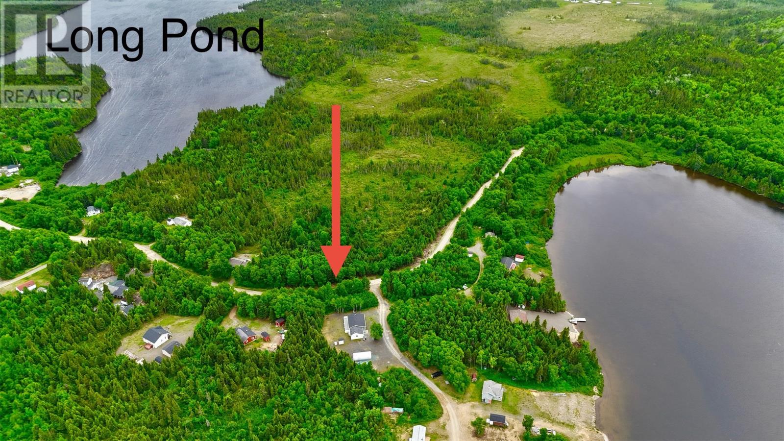 0 Birchy Bay Pond Property Photo 2