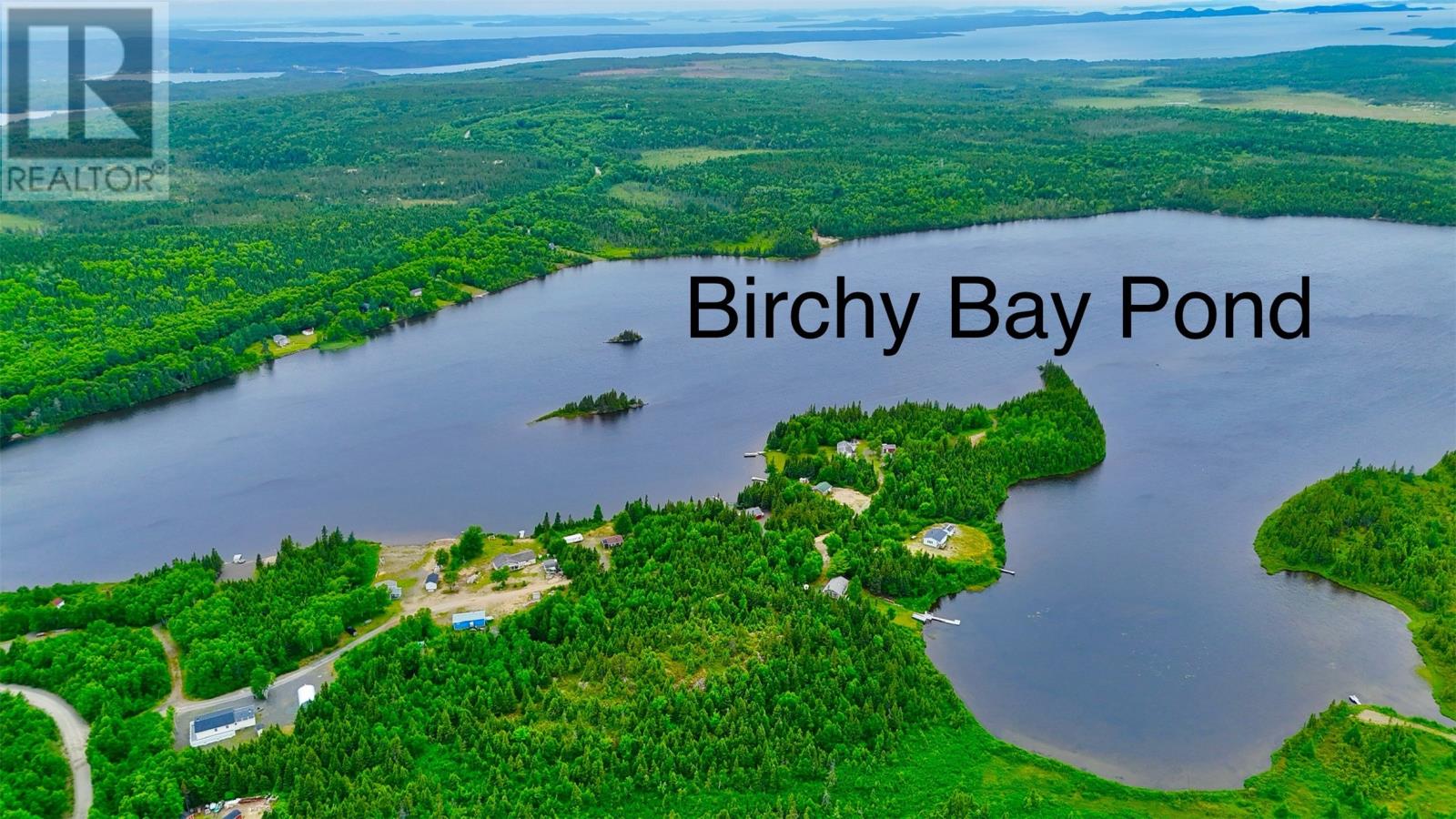 0 Birchy Bay Pond Property Photo 4
