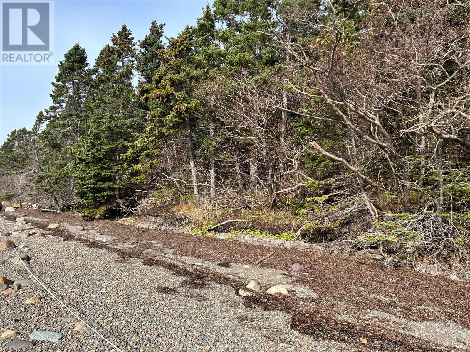 Lot # 05 Smith Sound Road Property Photo 4