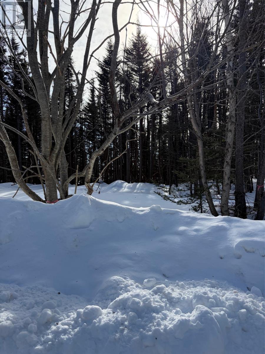 38 Spruce Grove Road