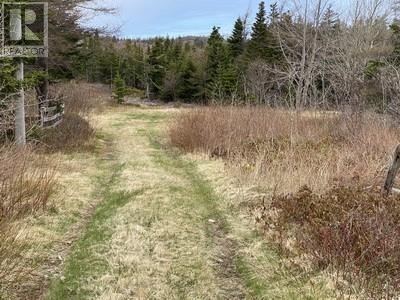 173a Highway East Property Photo 3