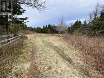 173a Highway East Property Photo 5