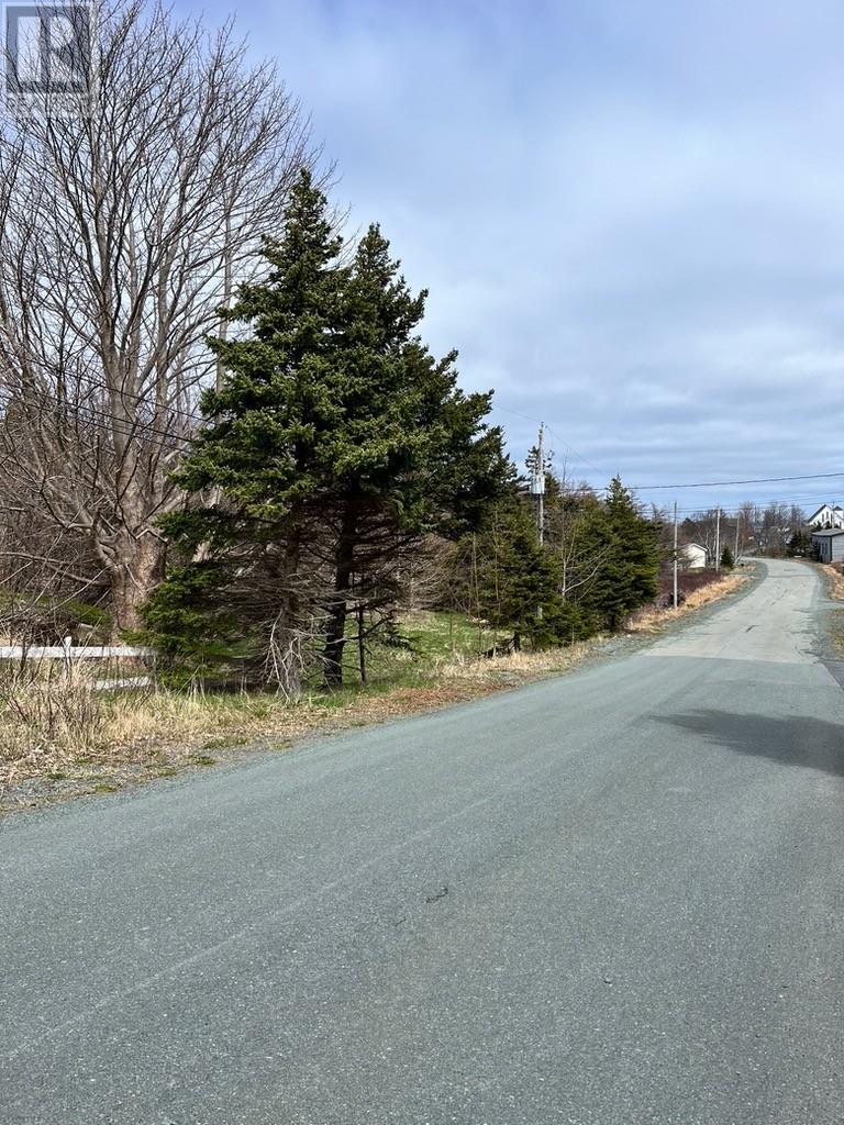 #81-89 Town Circle Road