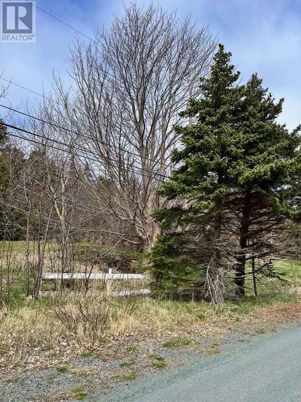 #81-89 Town Circle Road Property Photo 3