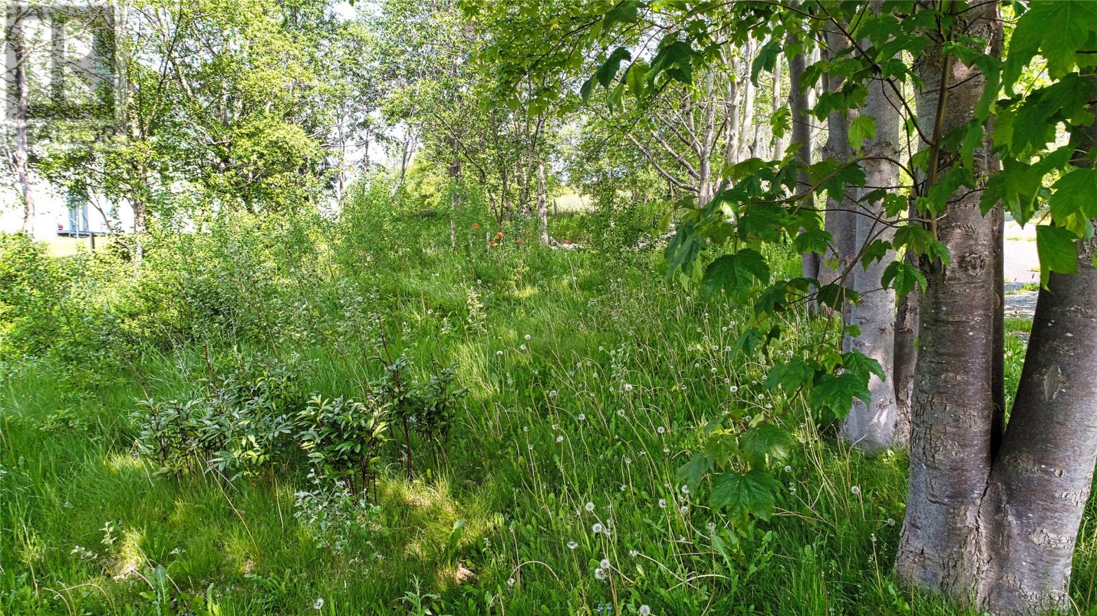 17 Northside Road Property Photo 9