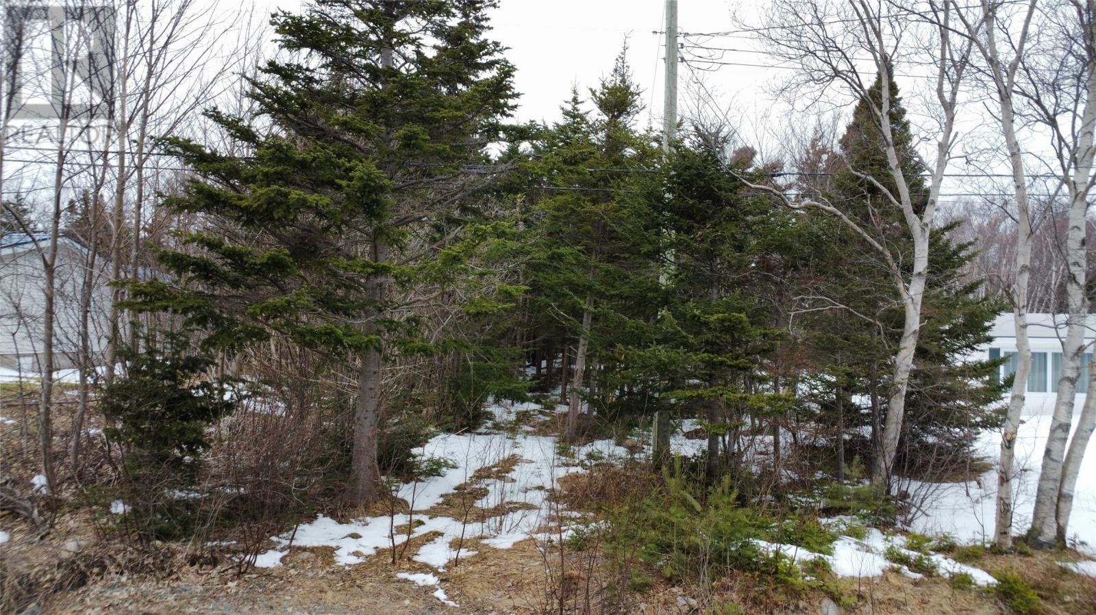 530 Seal Cove Road