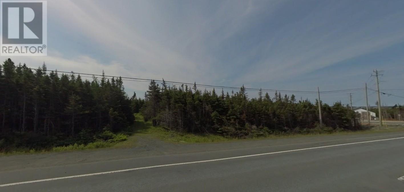 0000 Kenmount Road Property Photo 2