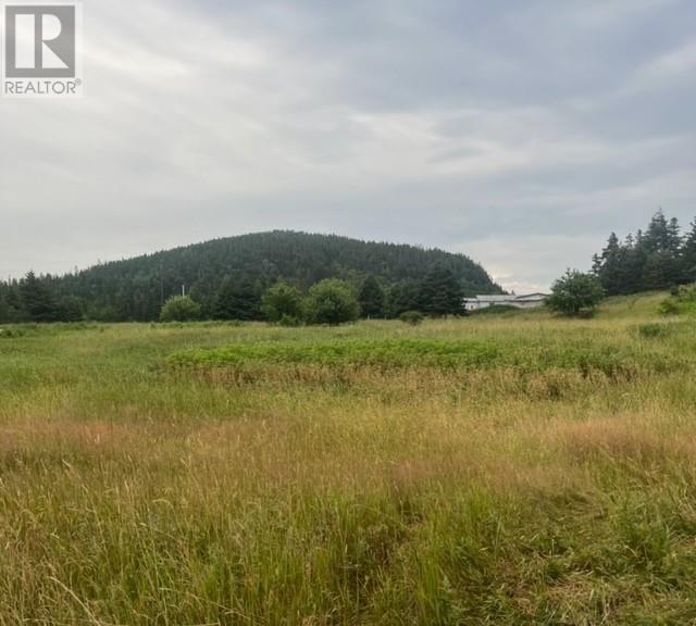 76b Island Drive Property Photo 11