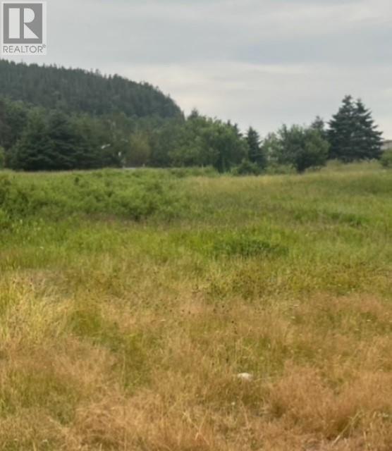 76b Island Drive Property Photo 15