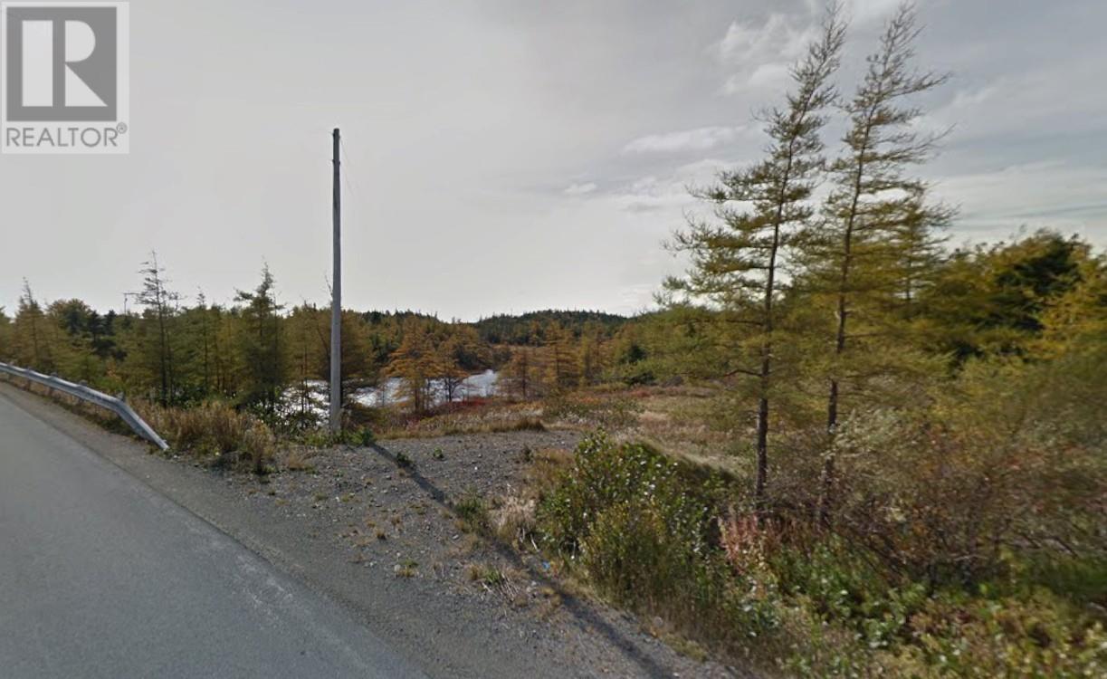 298 Main Road Property Photo 6