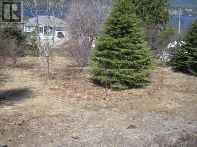 5 Princess Avenue Property Photo 2