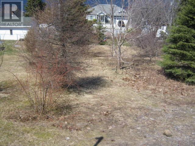 5 Princess Avenue Property Photo 3