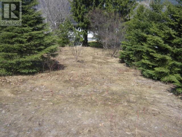 5 Princess Avenue Property Photo 4