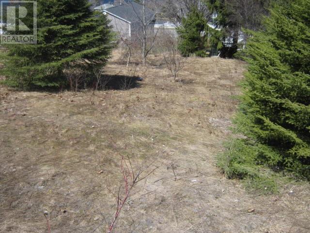 5 Princess Avenue Property Photo 5