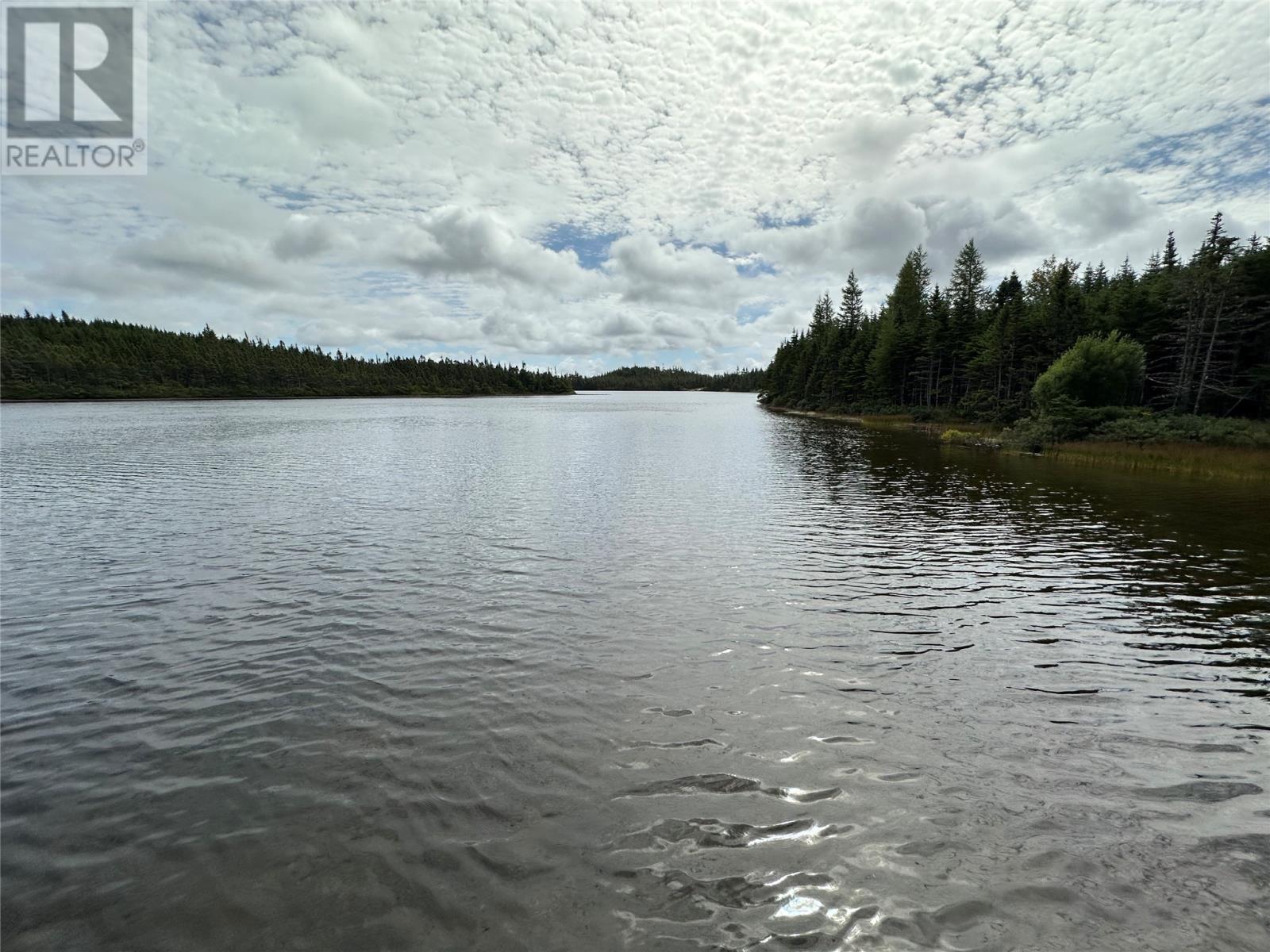 Salmonier Line Property Photo 11