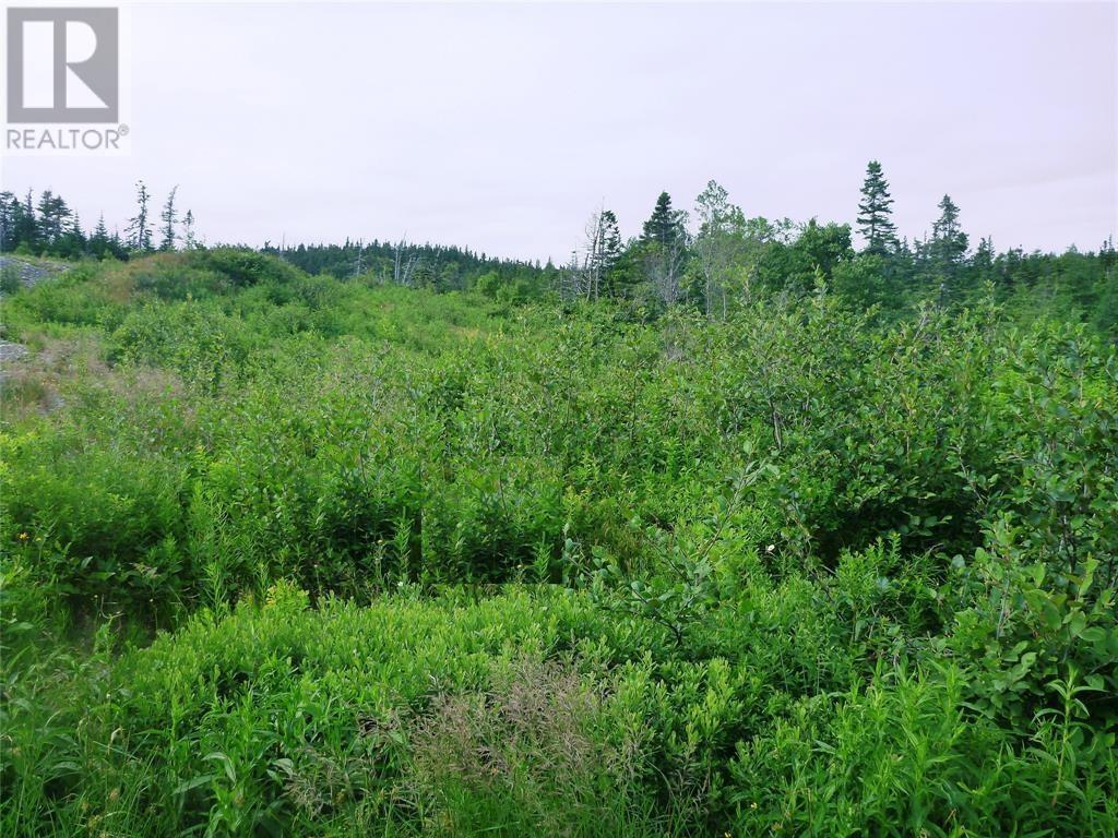 2-4 Snows Pond Road Property Photo 6