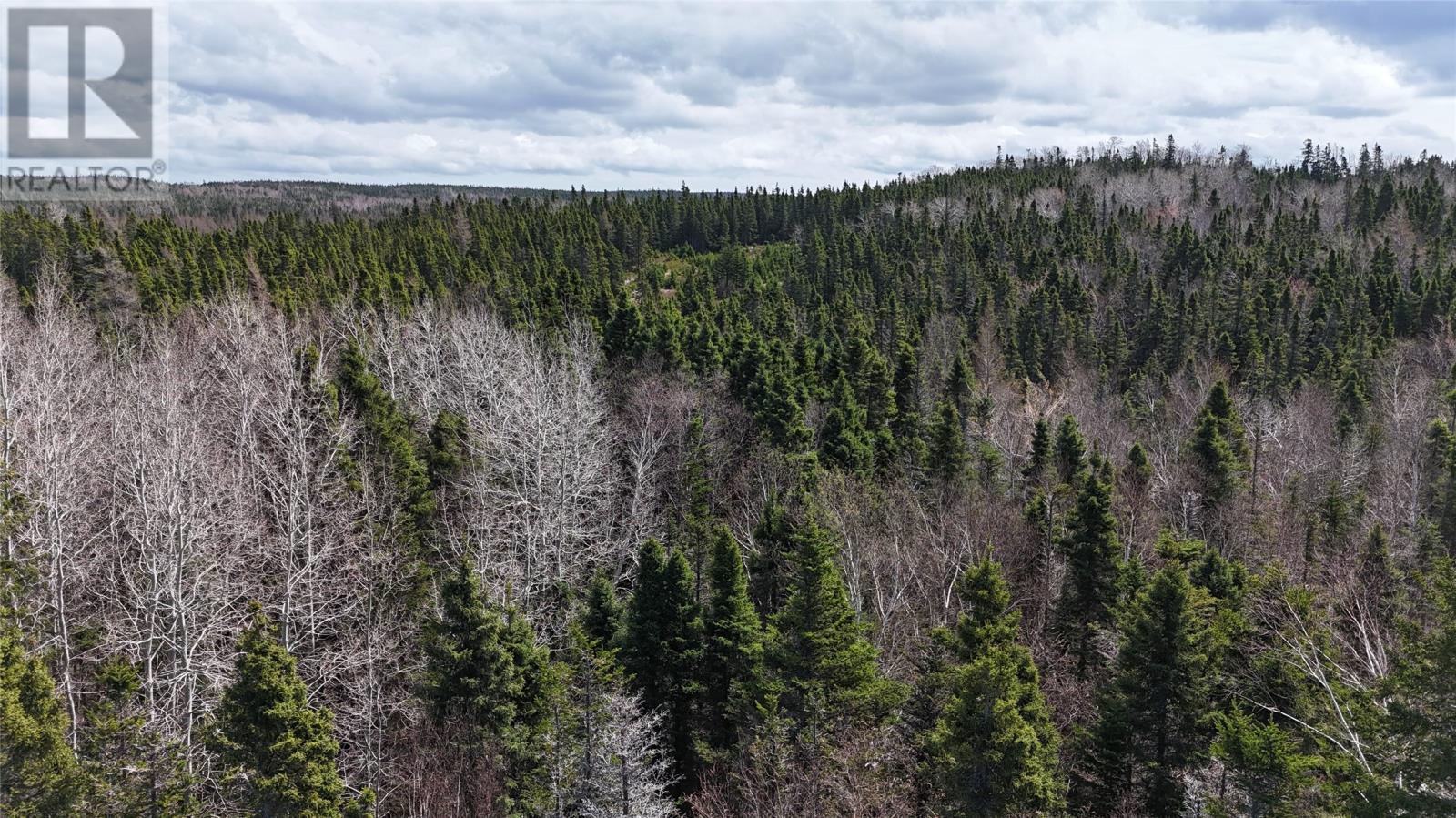 70 Road To The Isles Property Photo 5