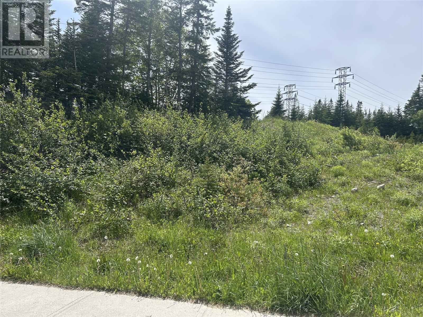 196 Massey Drive