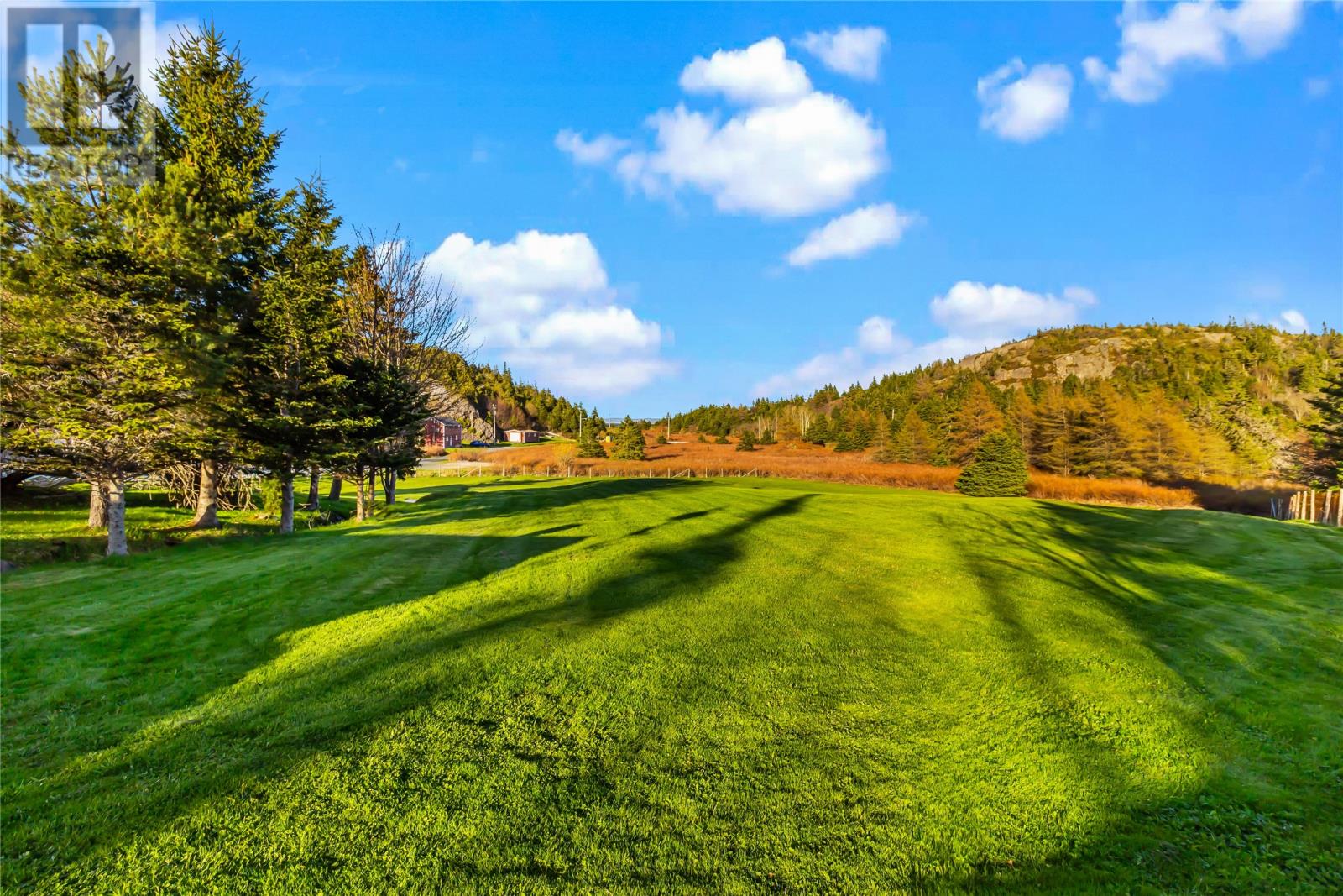 9 Gushue's Road Property Photo 37